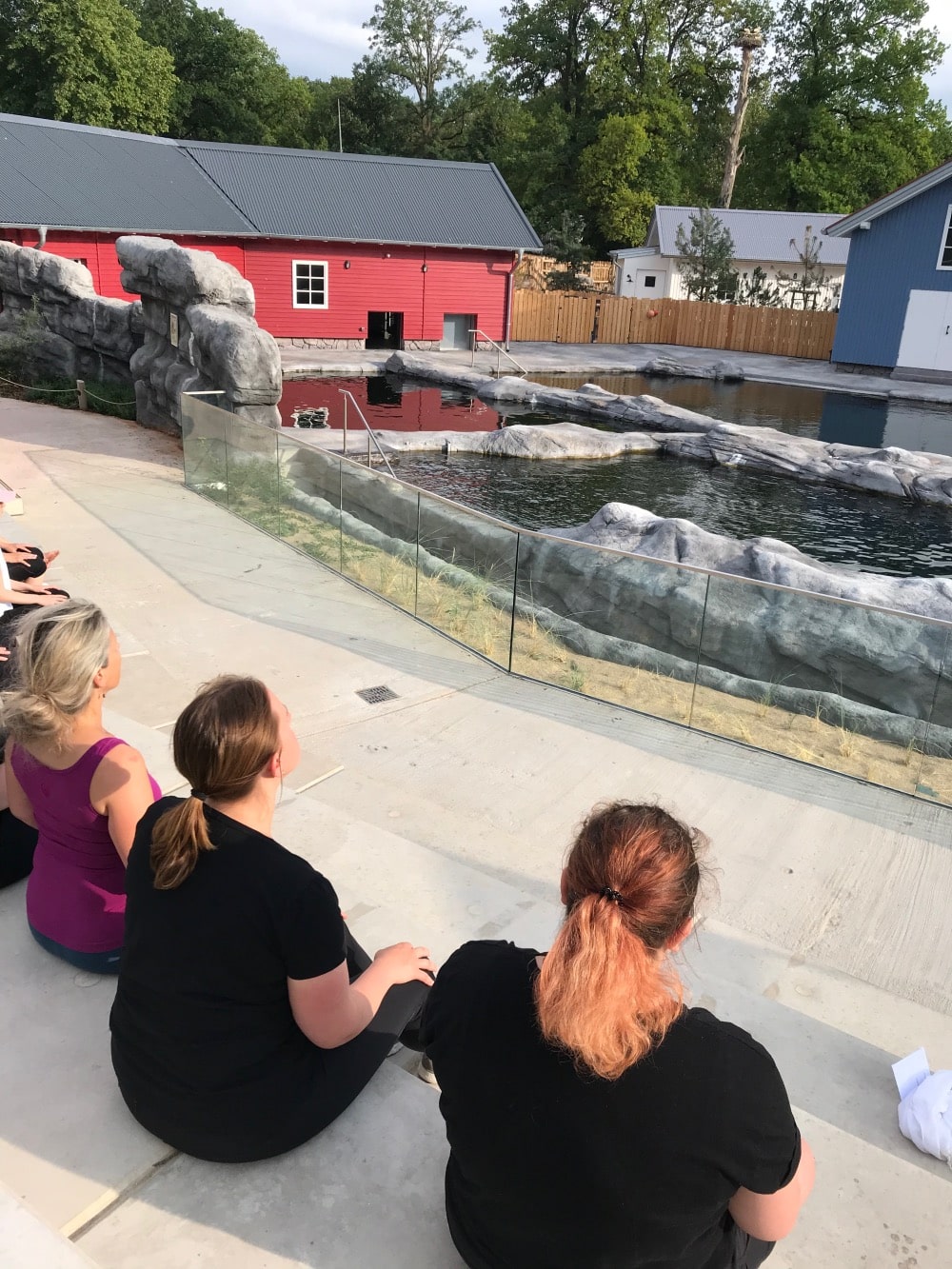Lisa-Simon-Yoga-Zoo6